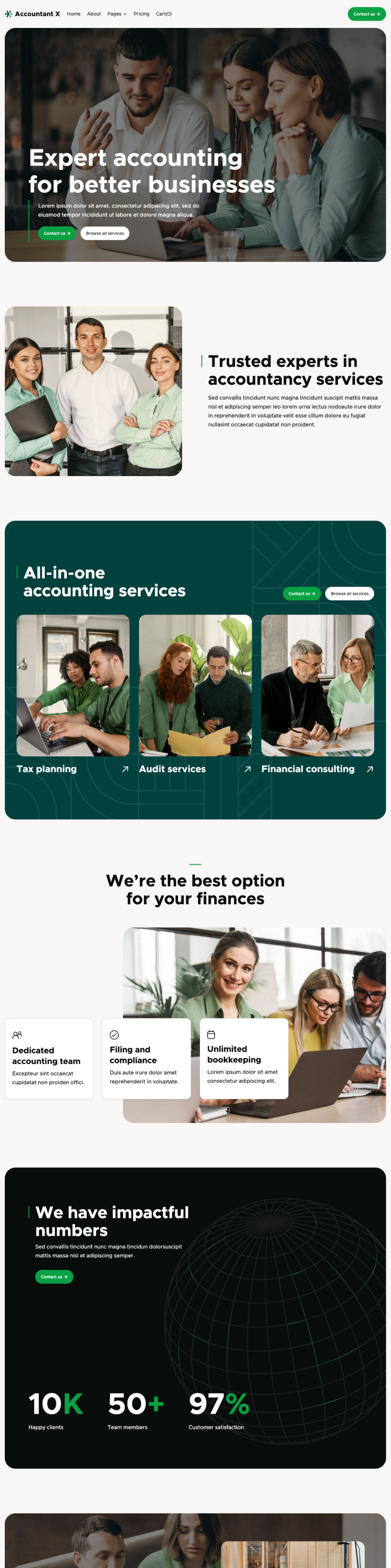 Accountant Website